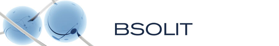 BSOLIT Website